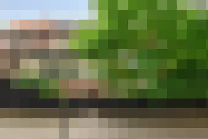 Billitonlaan 46 Apeldoorn thumbnail 51