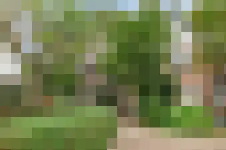 Billitonlaan 46 Apeldoorn thumbnail 59