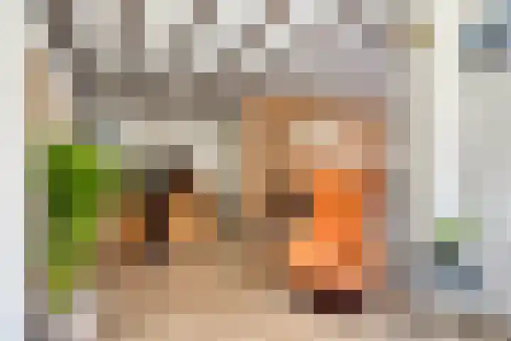 Billitonlaan 46 Apeldoorn thumbnail 9