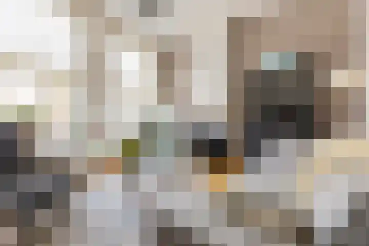Billitonstraat 1 Groningen thumbnail 12