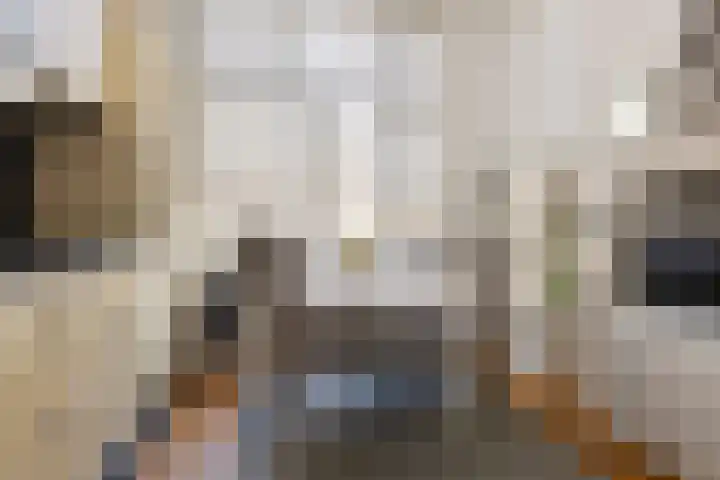 Billitonstraat 1 Groningen thumbnail 16