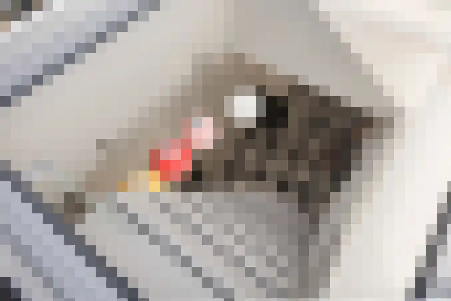 Billitonstraat 1 Groningen thumbnail 29