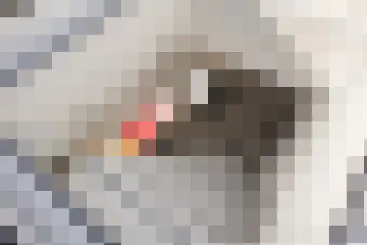 Billitonstraat 1 Groningen thumbnail 29