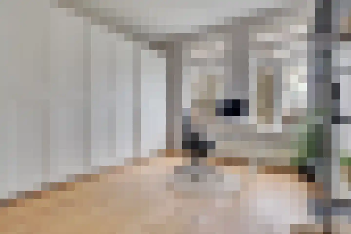 Billitonstraat 16 Utrecht thumbnail 24