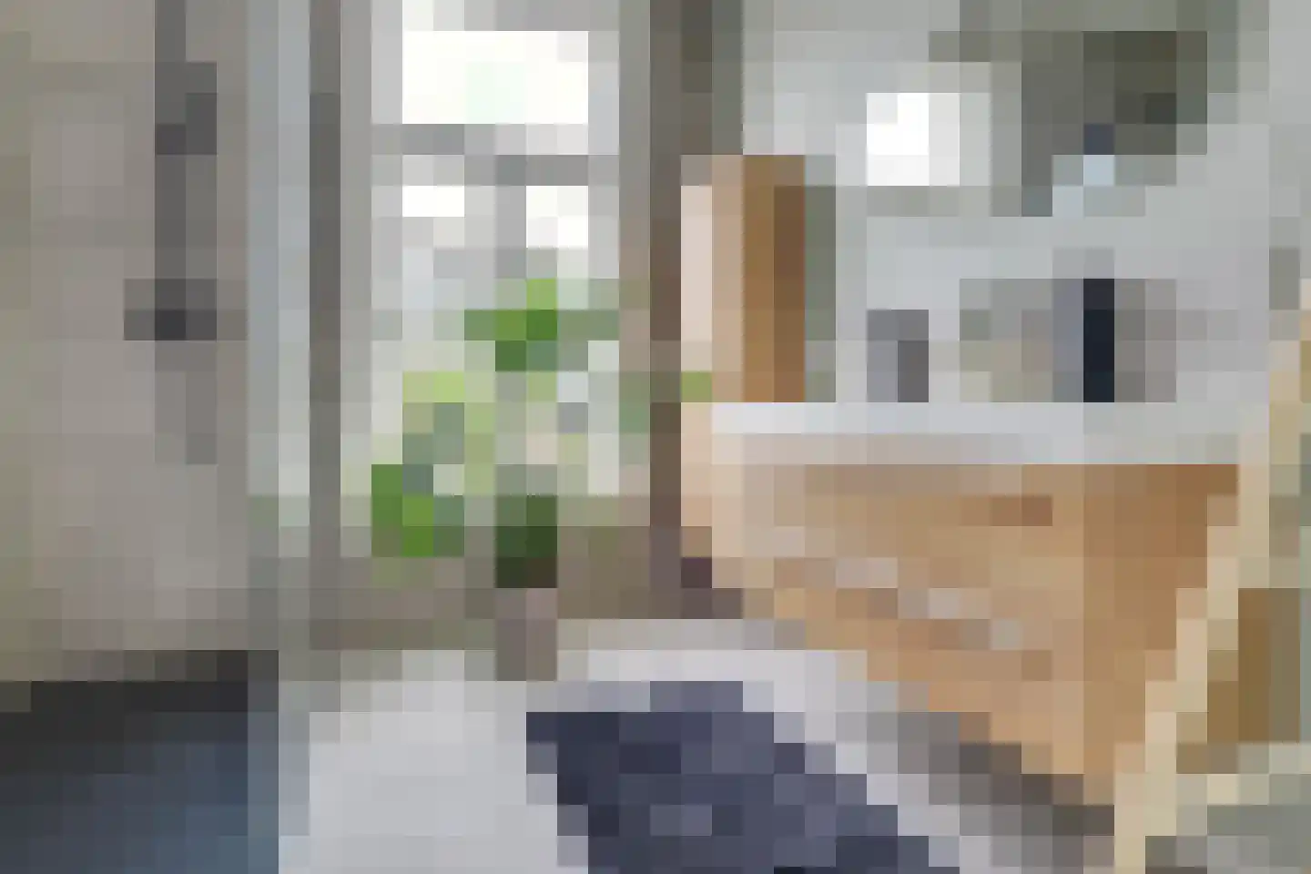 Billitonstraat 16 Utrecht thumbnail 28