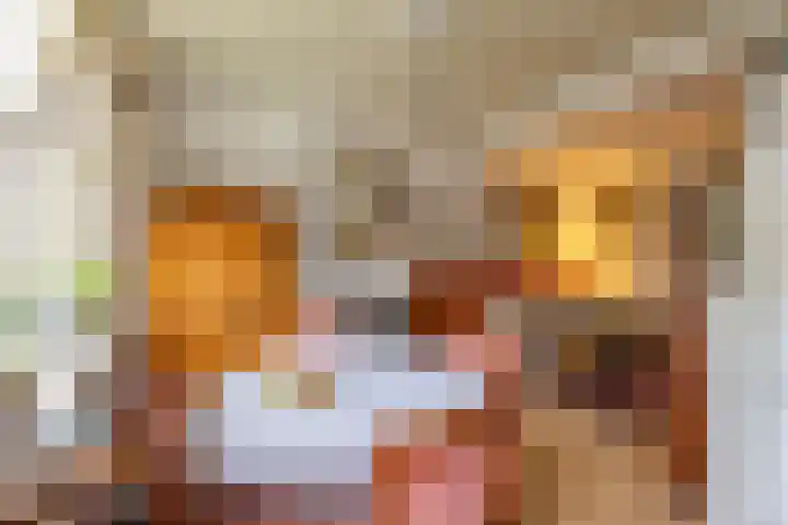 Billitonstraat 20 Groningen thumbnail 12