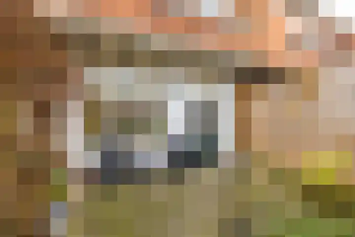 Billitonstraat 20 Groningen thumbnail 29