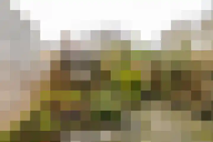 Billitonstraat 20 Groningen thumbnail 31