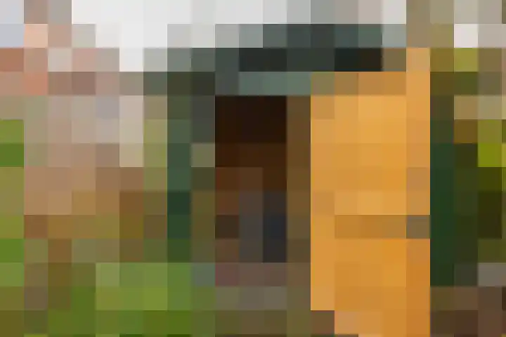 Billitonstraat 20 Groningen thumbnail 32