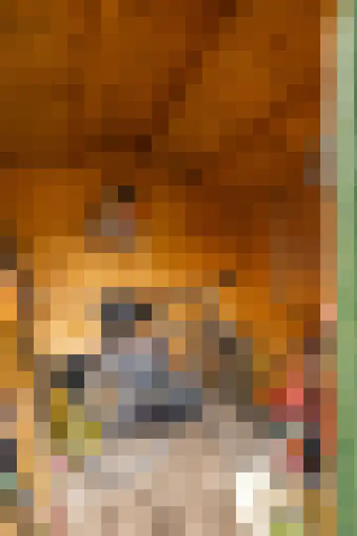 Billitonstraat 20 Groningen thumbnail 33
