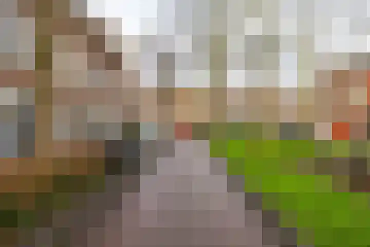 Billitonstraat 20 Groningen thumbnail 39
