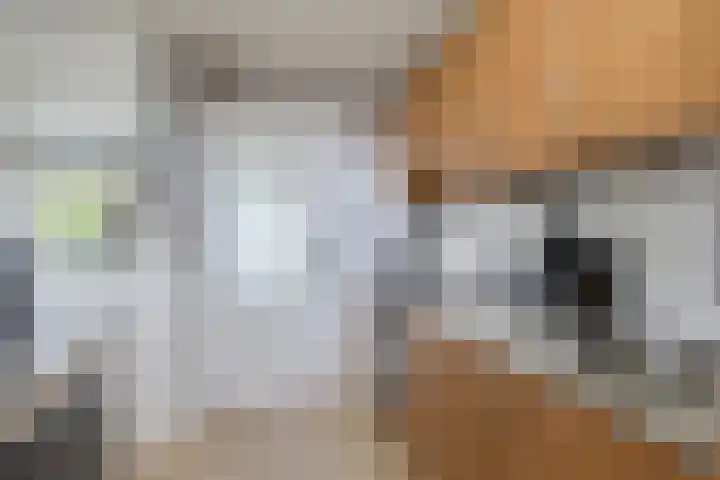 Billitonstraat 23 Den Helder thumbnail 14