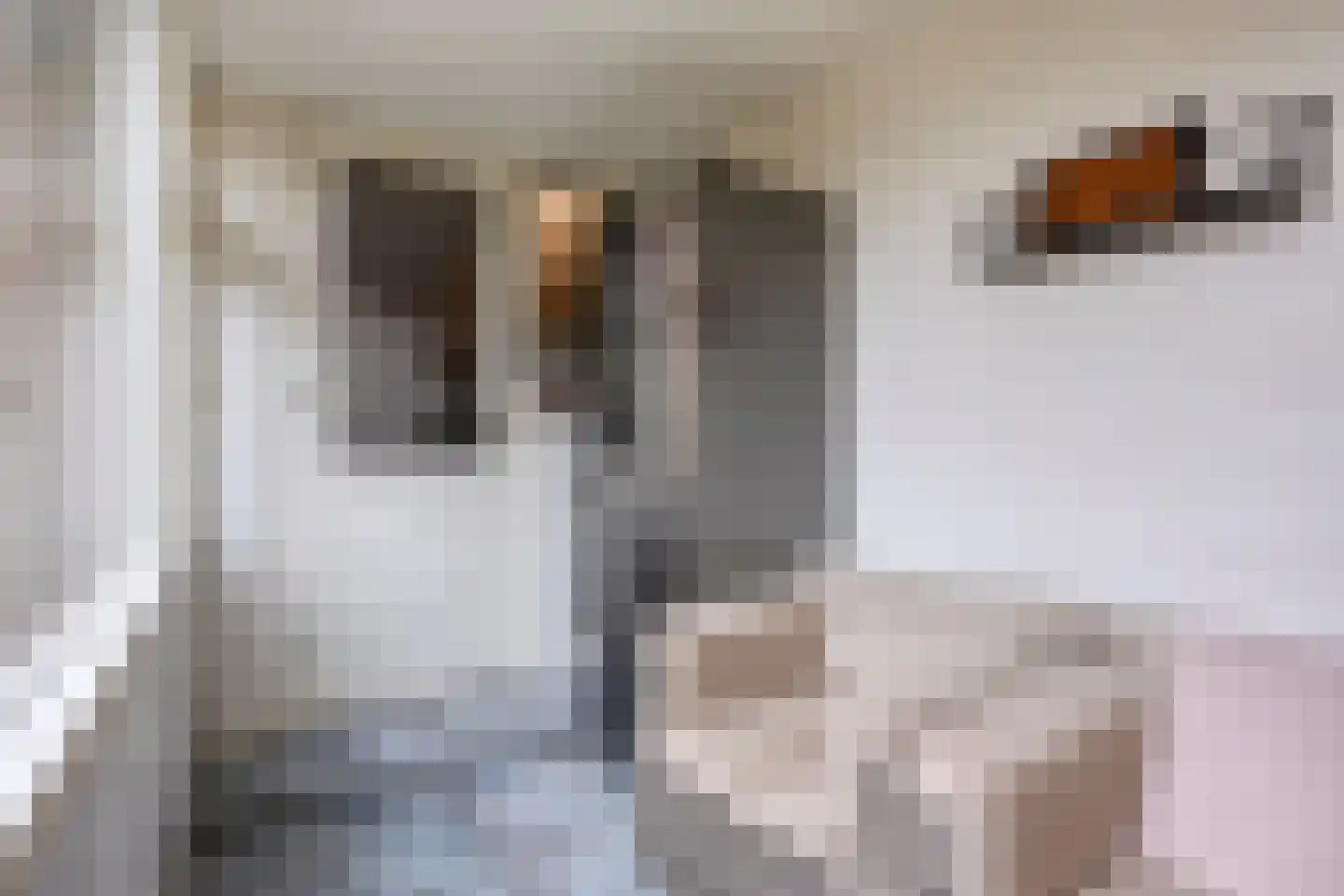Billitonstraat 23 Den Helder thumbnail 15