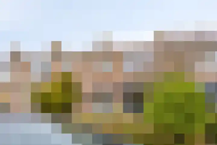 Billitonstraat 23 Den Helder thumbnail 6