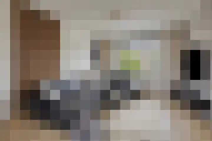 Billitonstraat 23 Den Helder thumbnail 7