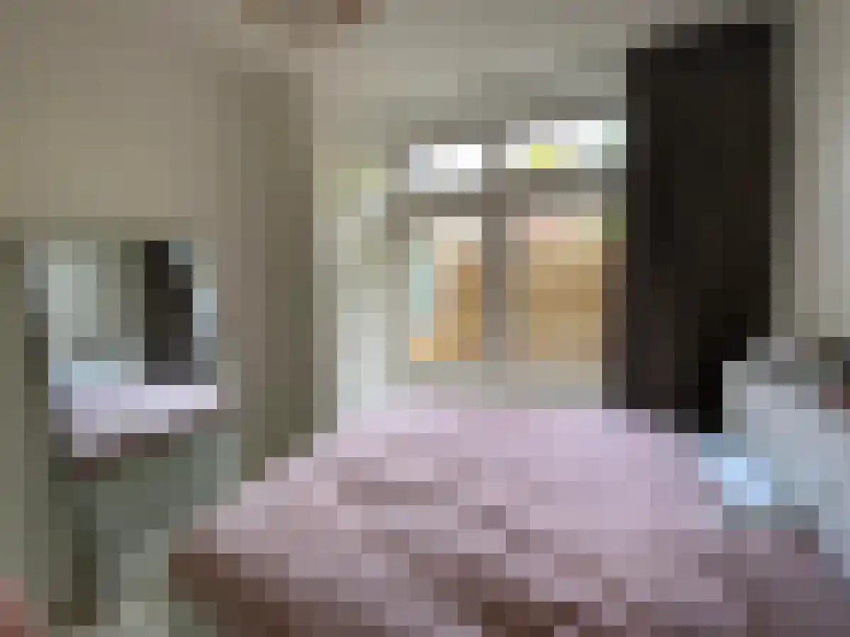 Billitonstraat 24 Groningen thumbnail 6