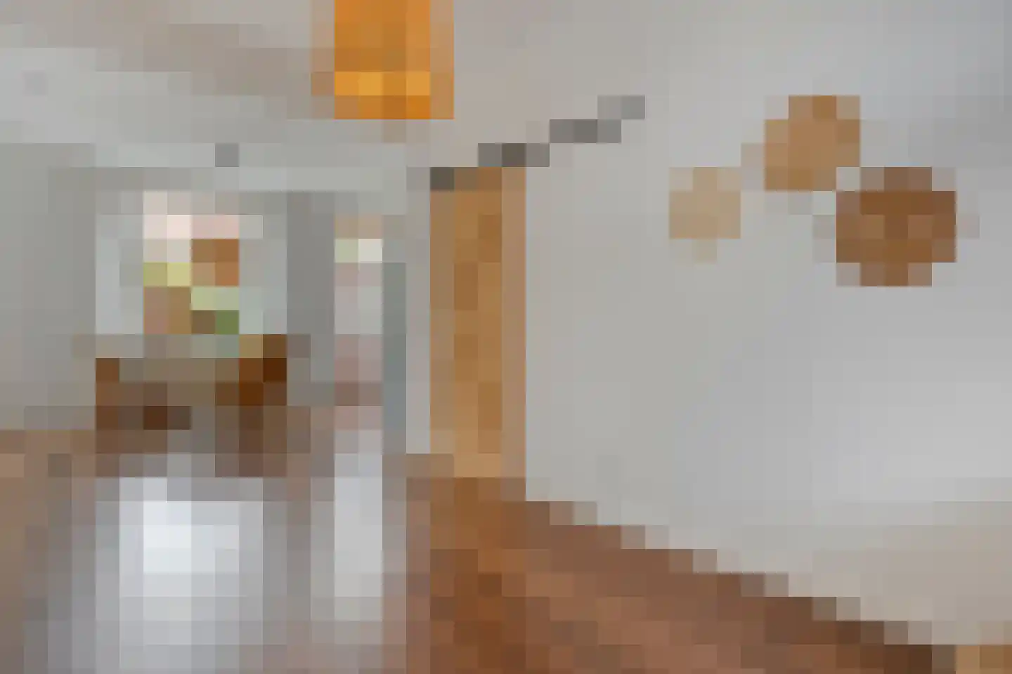 Billitonstraat 24 Zwolle thumbnail 10
