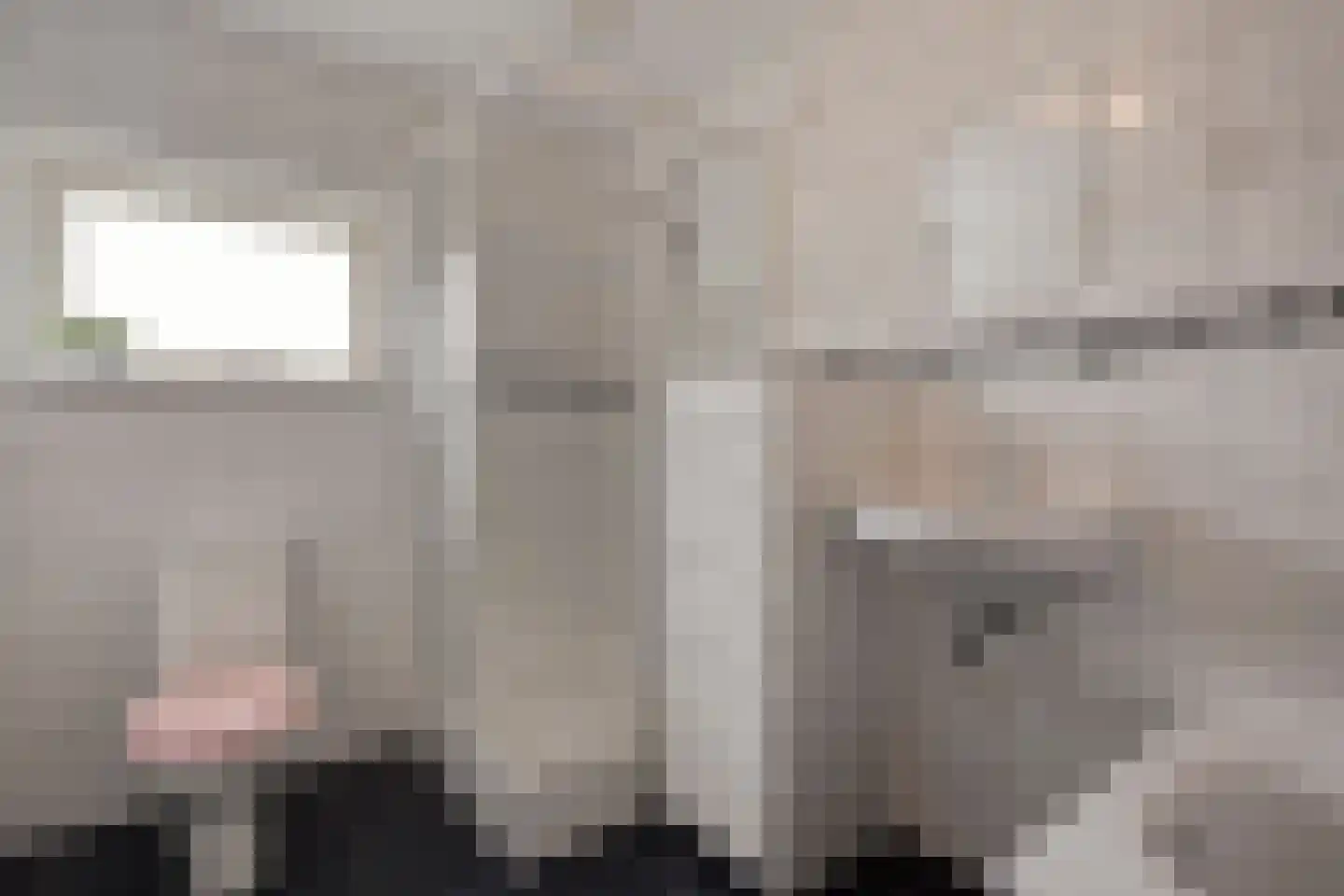 Billitonstraat 24 Zwolle thumbnail 25