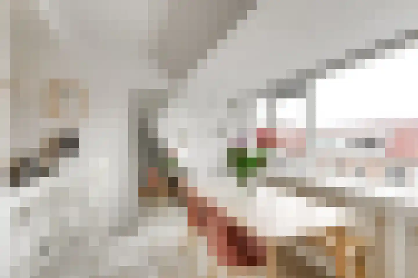Billitonstraat 26 Leiden thumbnail 11