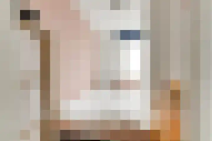 Billitonstraat 26 Leiden thumbnail 17
