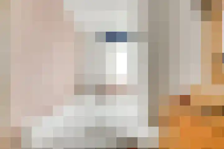 Billitonstraat 26 Leiden thumbnail 18