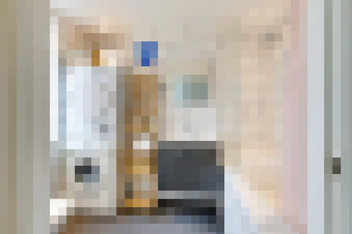 Billitonstraat 26 Leiden thumbnail 19