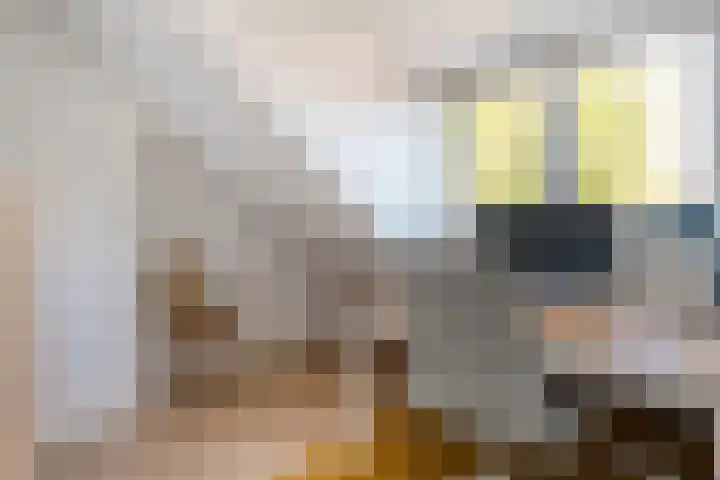 Billitonstraat 26 Zwolle thumbnail 23