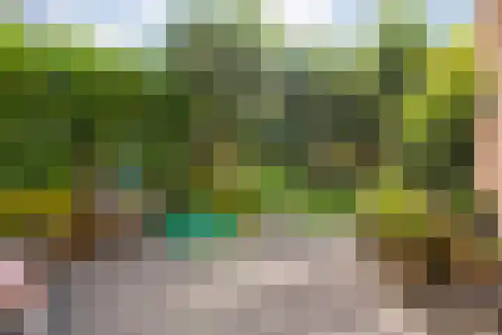 Billitonstraat 26 Zwolle thumbnail 27