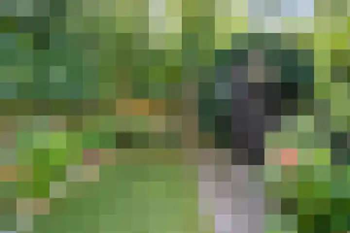 Billitonstraat 26 Zwolle thumbnail 28