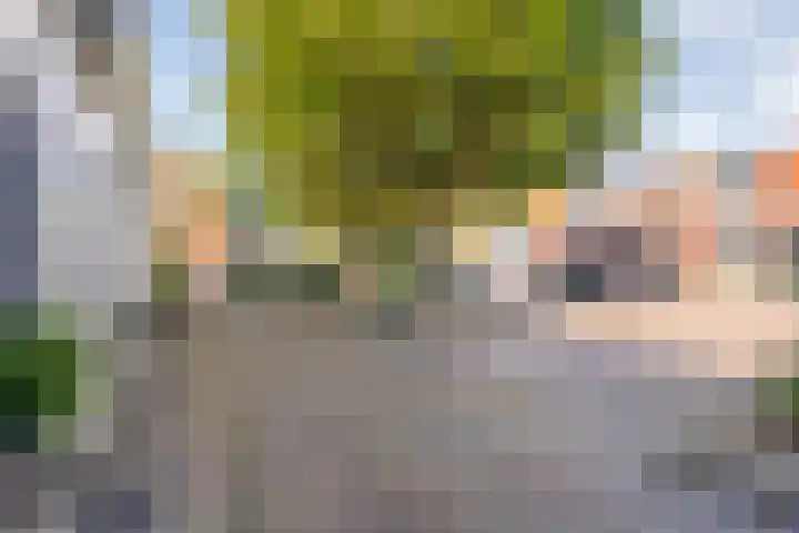 Billitonstraat 26 Zwolle thumbnail 30