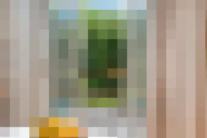 Billitonstraat 26 Zwolle thumbnail 8
