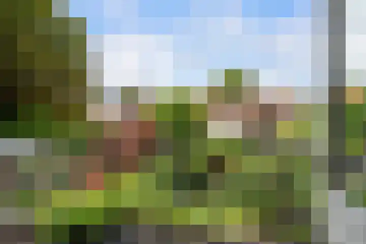 Billitonstraat 39 Dordrecht thumbnail 36