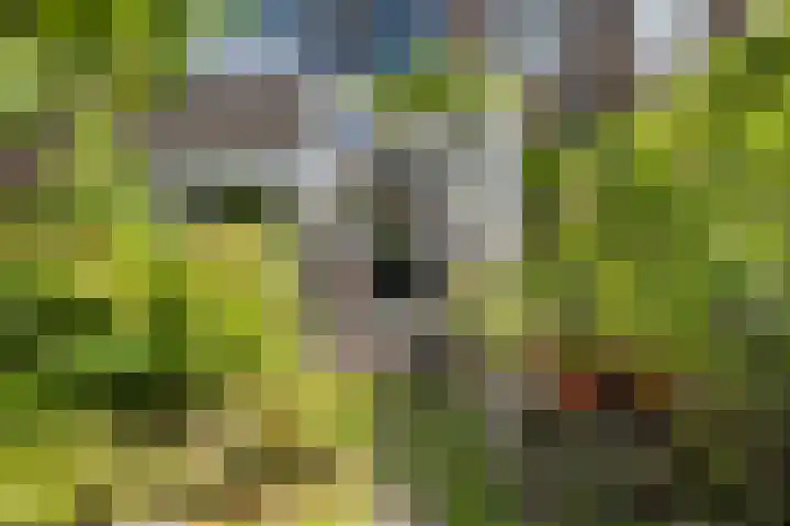 Billitonstraat 39 Dordrecht thumbnail 41