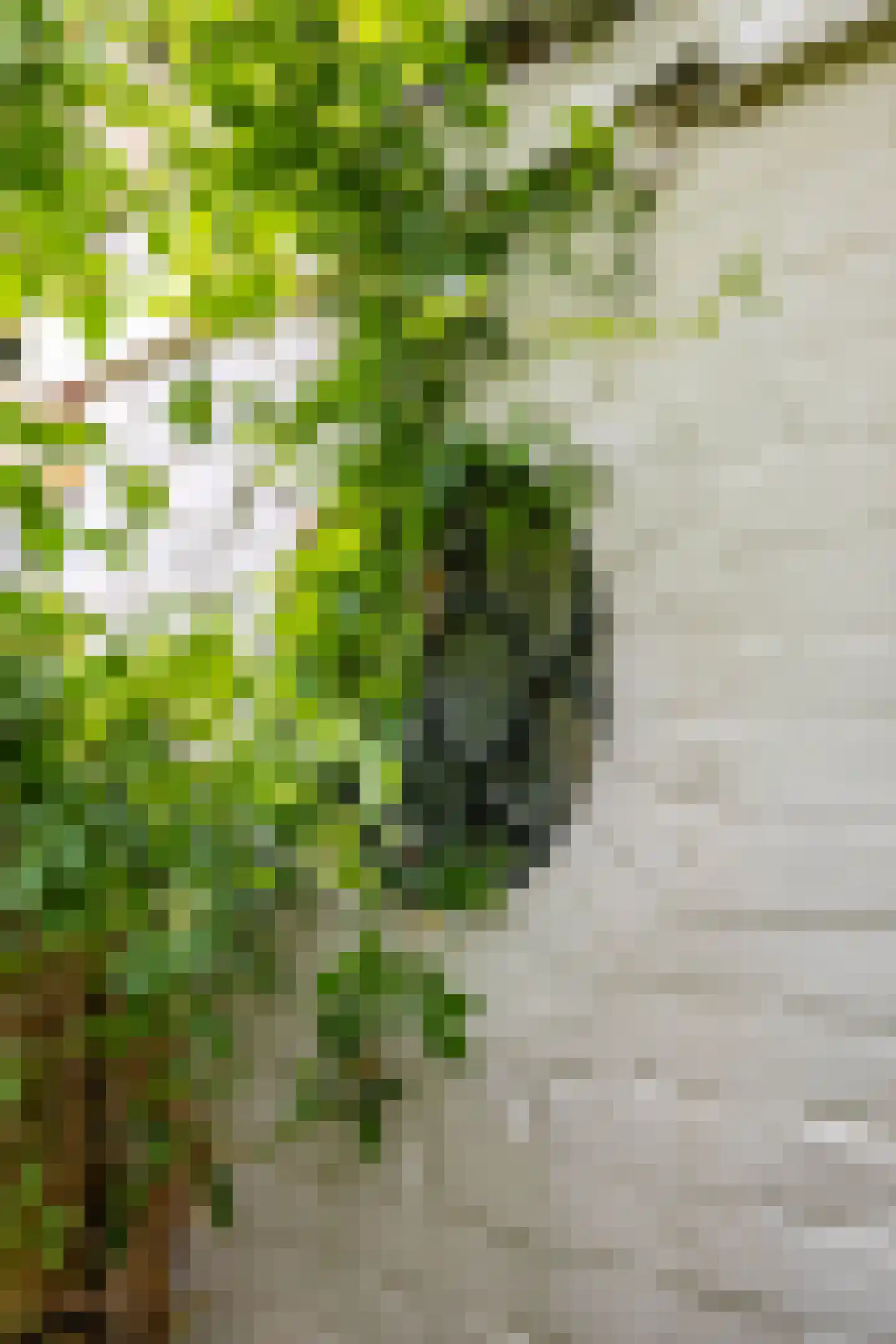 Billitonstraat 5 Groningen thumbnail 20