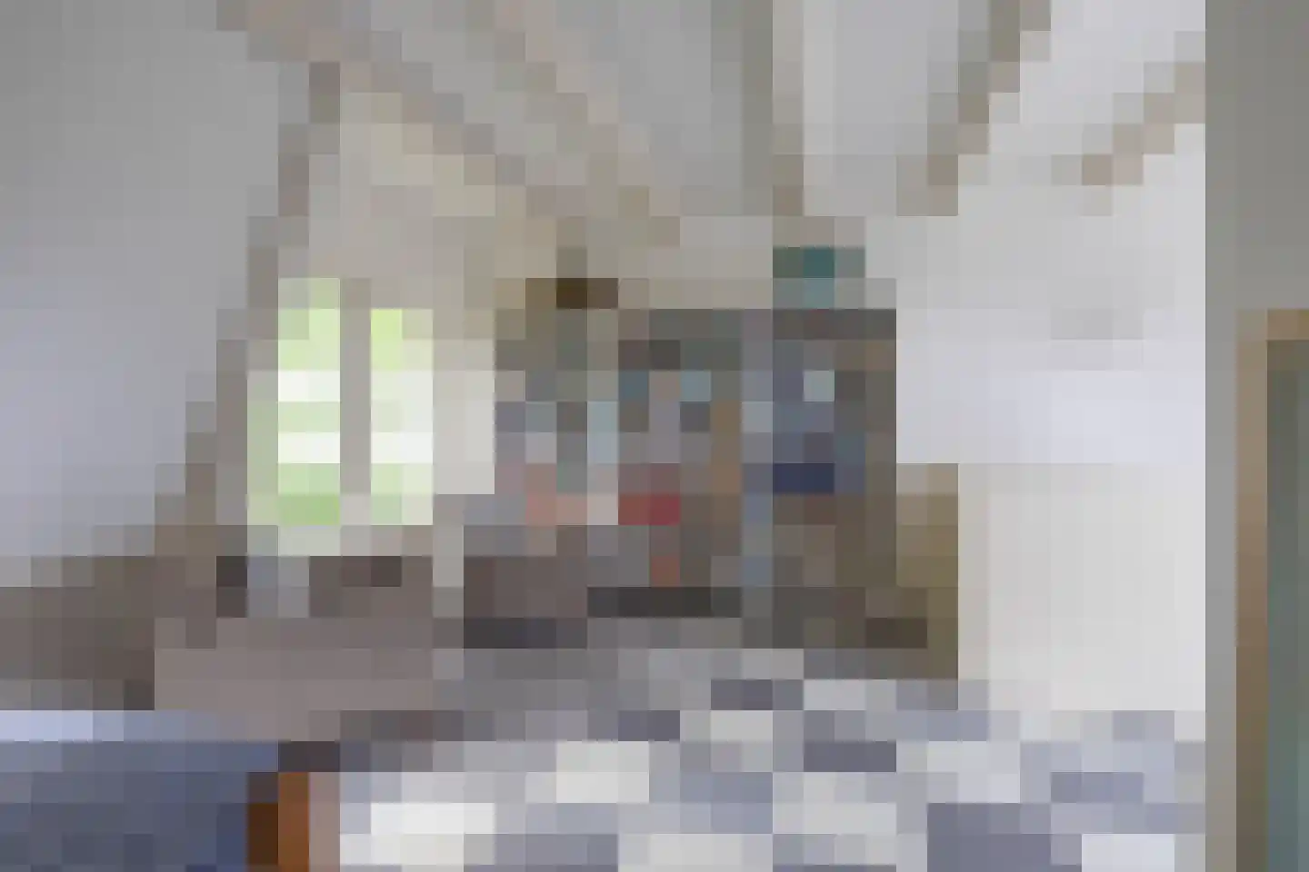Billitonstraat 5 Groningen thumbnail 38