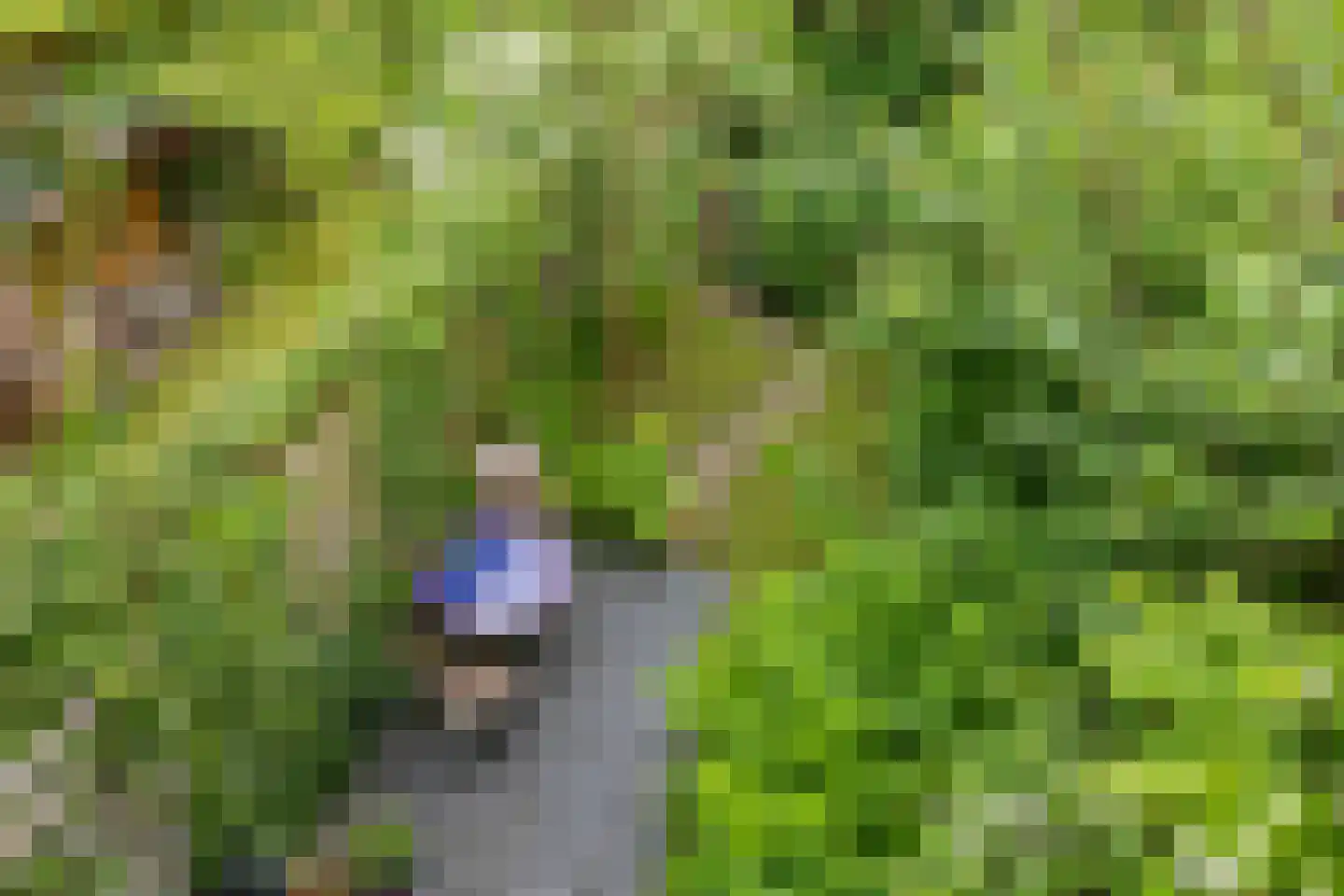 Billitonstraat 5 Groningen thumbnail 43