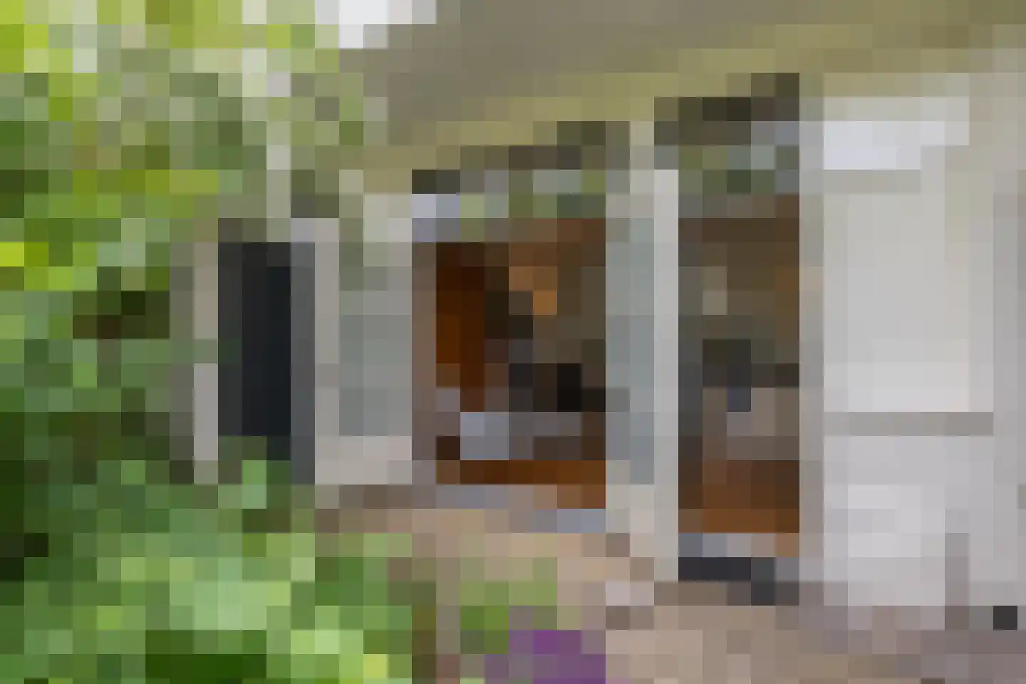 Billitonstraat 5 Groningen thumbnail 45