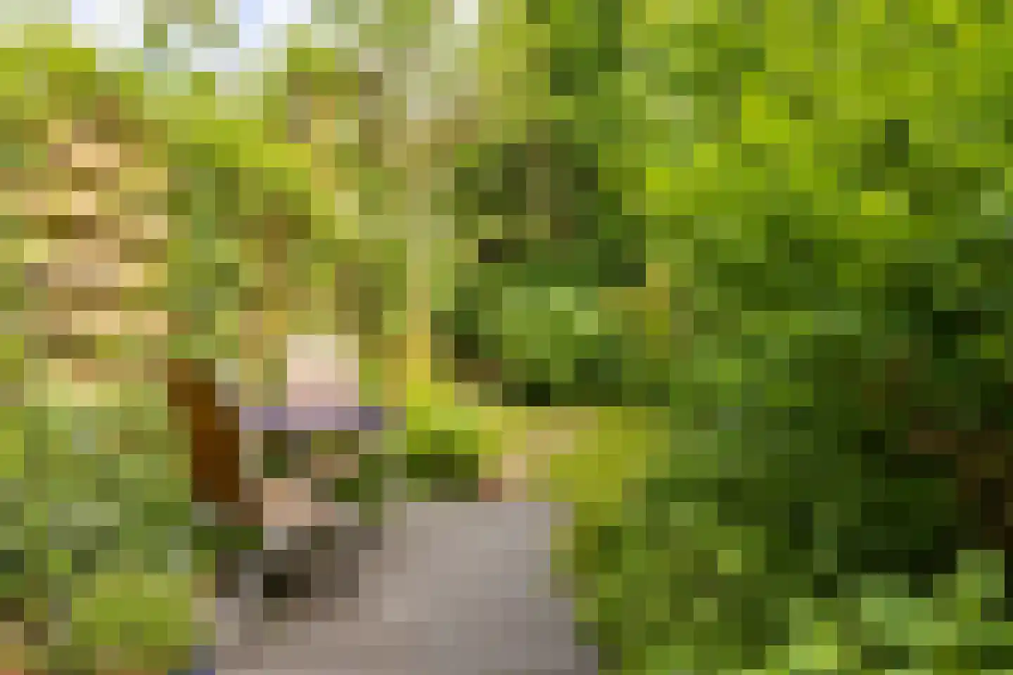 Billitonstraat 5 Groningen thumbnail 46
