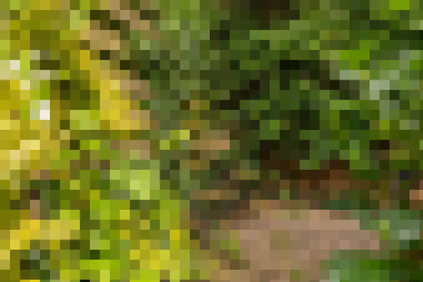 Billitonstraat 5 Groningen thumbnail 47