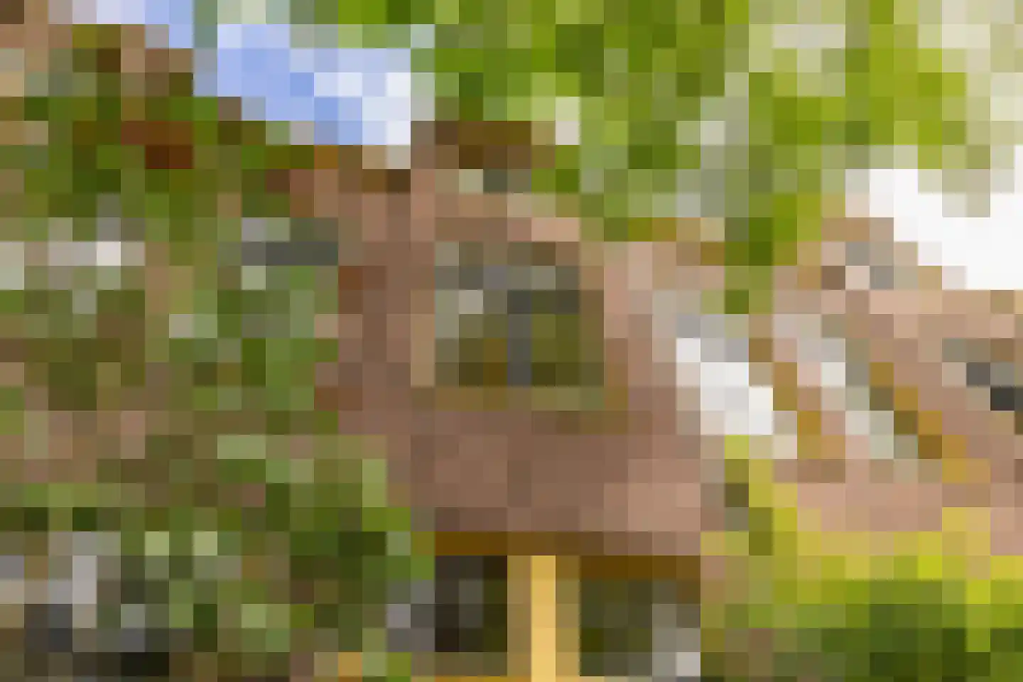 Billitonstraat 5 Groningen thumbnail 48
