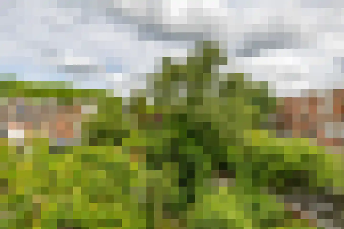 Billitonstraat 5 Groningen thumbnail 51