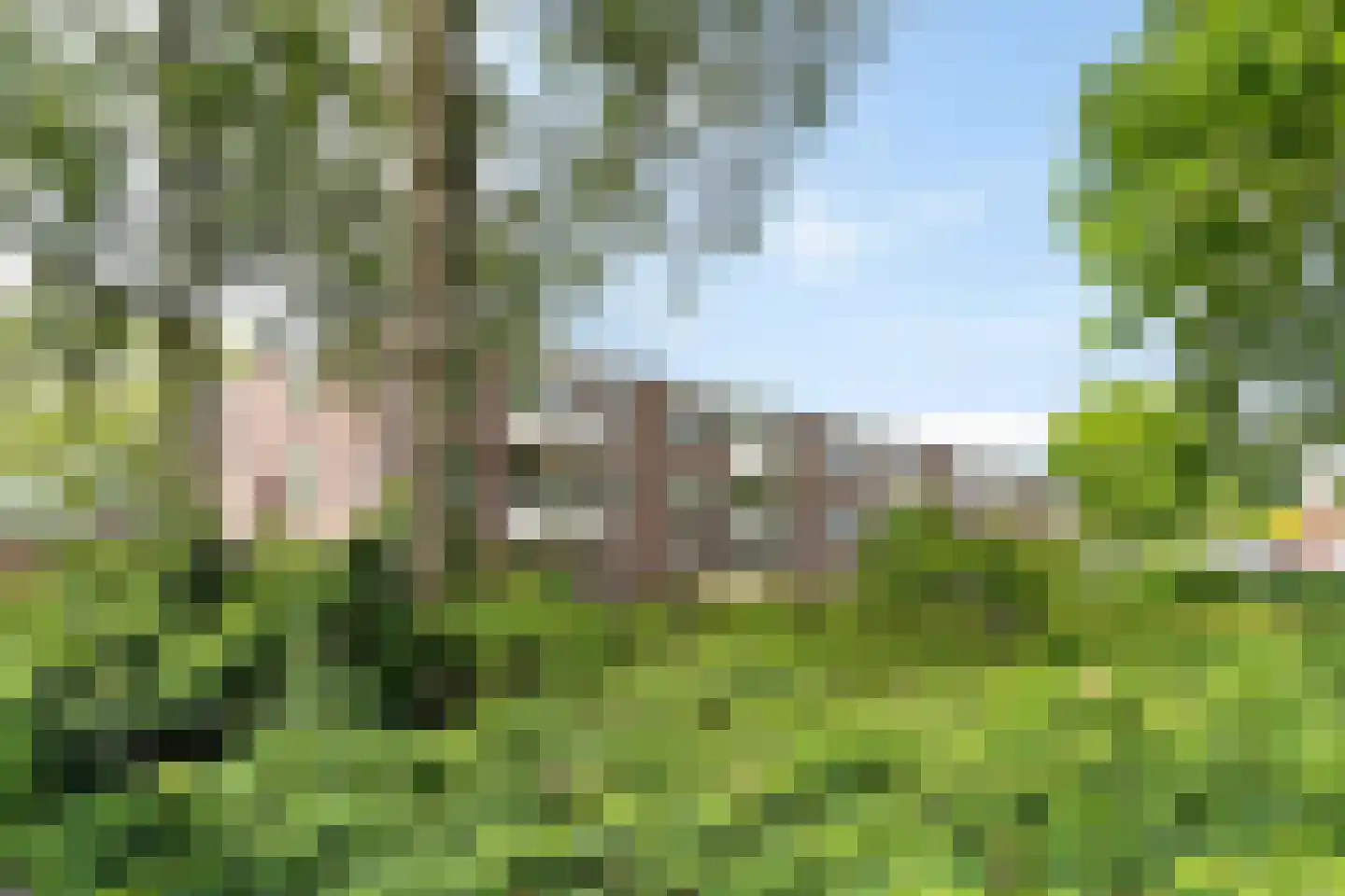 Billitonstraat 56 Enschede thumbnail 24