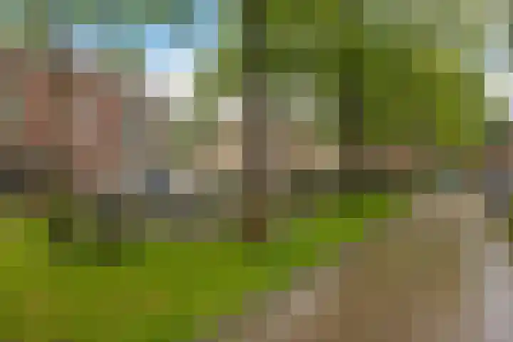 Billitonstraat 68 Groningen thumbnail 10