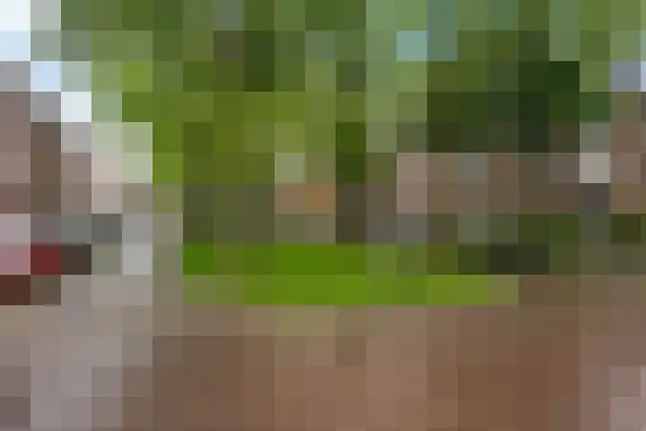 Billitonstraat 68 Groningen thumbnail 11