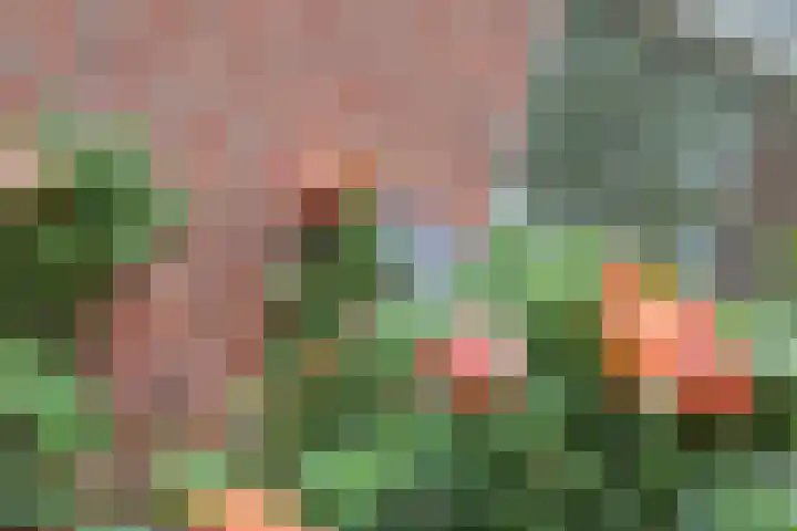 Billitonstraat 68 Groningen thumbnail 13