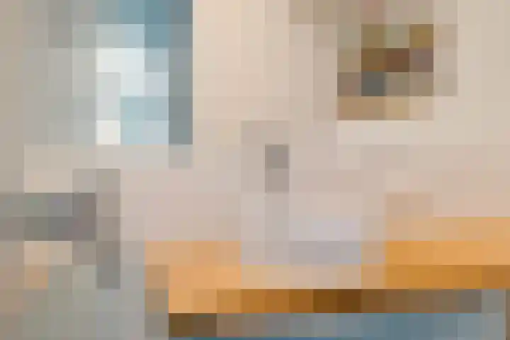 Billitonstraat 68 Groningen thumbnail 17