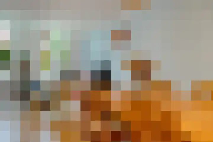 Billitonstraat 68 Groningen thumbnail 25