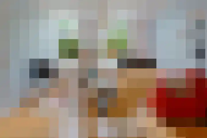 Billitonstraat 68 Groningen thumbnail 26