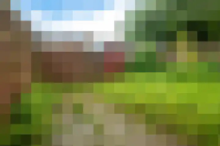 Billitonstraat 68 Groningen thumbnail 35