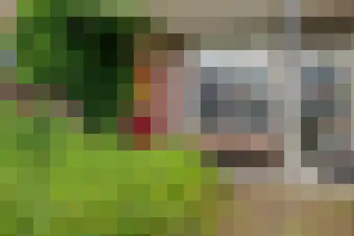 Billitonstraat 68 Groningen thumbnail 36